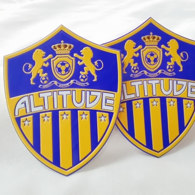 Heat Transfer TPU Main Logo Soccer Jersey Patch High Frequency
